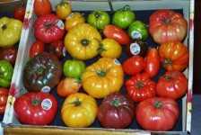 El tomate reliquia vuelve a la fama