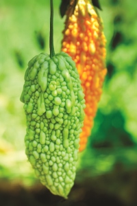 Foto cortesía de iStockphoto.