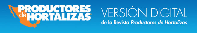 revista-digital-header