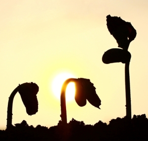 Foto cortesía de iStockphoto.