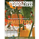 Revista digital cover