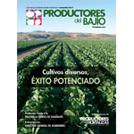 Revista digital cover