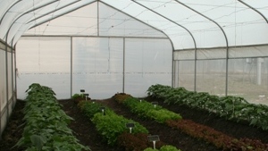 Utilización de macrotúneles