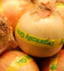 Semillas orgánicas