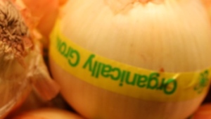Semillas orgánicas