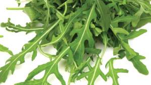 Características del tratamiento poscosecha de rúcula