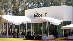 Producción de abejorros en México