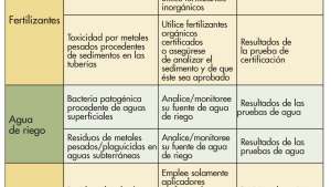 Inocuidad en melones