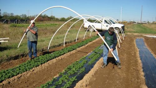 9 consejos para aprovechar al máximo tus macrotúneles