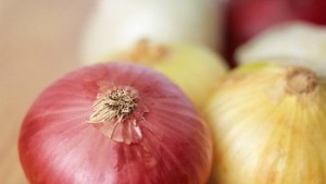 Mayor eficiencia en producción de cebolla mexicana