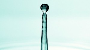 Fertilización carbónica