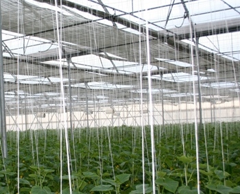 Estructuras de producción adecuadas para tu región
