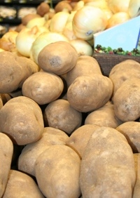 Inicia la temporada de papa: cultivo esencial en el calendario agrícola