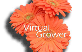 Herramienta para el manejo energético de invernaderos