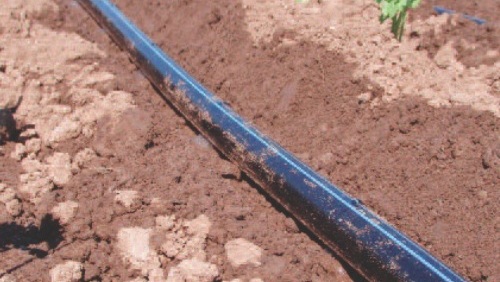Toro: soluciones de riego