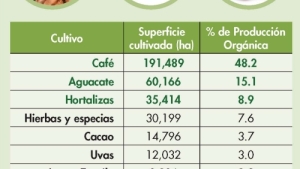 Los 12 cultivos más importantes en la producción orgánica