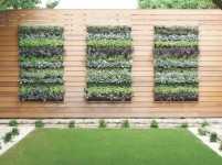 Cultiva plantas y hortalizas en estructuras verticales