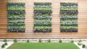 Cultiva hortalizas en estructuras verticales