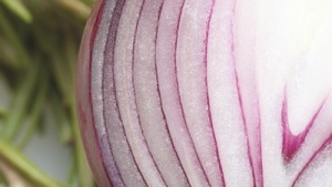 El mejor método de siembra para tus cebollas