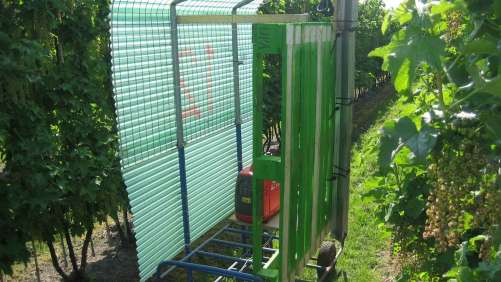 Usa radiación UV para proteger tus cultivos de ciertos patógenos