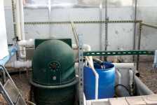 Métodos para reciclar agua en tu invernadero