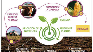 Amplía la fertilidad de tu suelo con materia orgánica