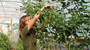 Recorrido a un huerto urbano