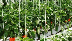 Llevar una bitácora de su operación indica buenas prácticas de gestión