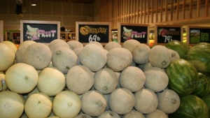 Control de sanidad en melones