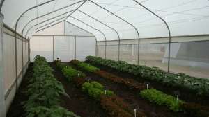 Selecciona la cubierta adecuada para tu invernadero