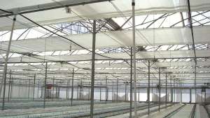 Características importantes de cubiertas para invernadero