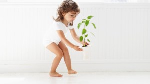 Agroscience  es innovación