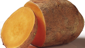 Protege tus camotes contra infecciones de nemátodos