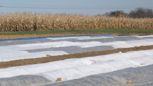 Escoge la cubierta adecuada para tus camas