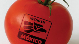 Propuesto acuerdo para exportación de tomate de México a Estados Unidos