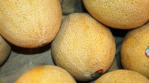 Producción y exportación de melón en México