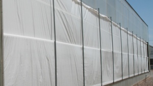 Ventilación lateral frente a mallas antiáfidos en invernadero