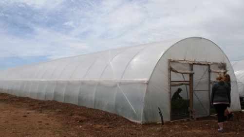 Consejos para tu primer macrotúnel