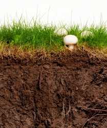 soil_phases_istock
