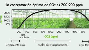 Incrementa tus rendimientos con CO2: Parte II