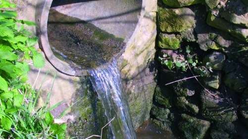 Utilización de agua residual como fertilizante