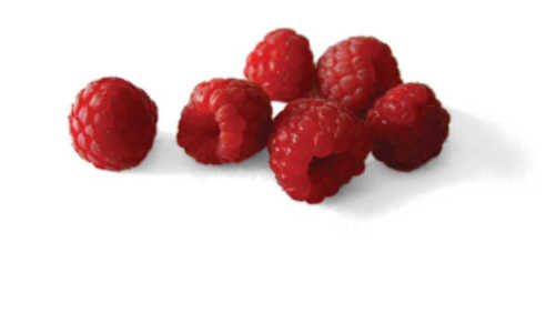 Panorama de producción y exportación de frutillas