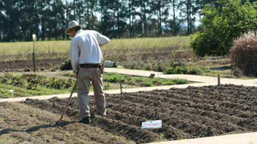 Maneja la descomposición de tus suelos