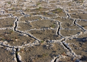 Foto cortesía de iStockphoto.