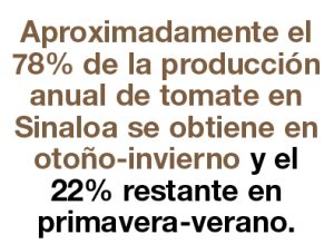 sinaloa3