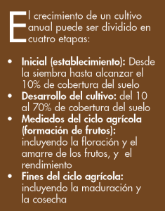 ciclos