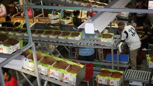 Cómo satisfacer los desafíos de inocuidad alimentaria con certificaciones globales