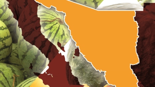 Sonora: gremiales y programas de investigación refuerzan cadenas agroalimentarias