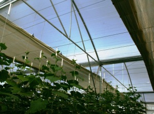 expo_gto_2012 066