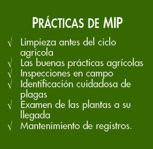 mip sidebar